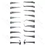 16 Pieces Set Of Dental Extraction Elevators Cogswell Cryer Spear Crane Apical Root Tip Pick Stainless Steel Instrument