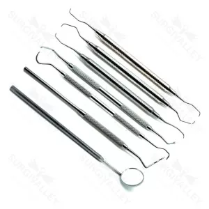 Dental Prophylaxis Tray Setup Stainless Steel Premium Instruments Set Of 7