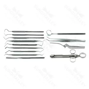 Dental Root Canal & Pulpotomy Tray Setup Stainless Steel Instruments Set Of 13