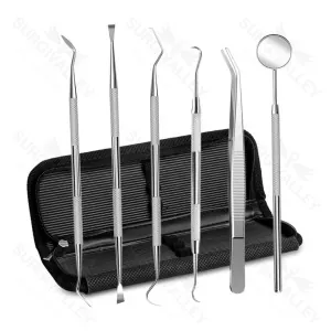 Dental Tools Stainless Steel Dental Pick Dental Floss Dental Hygiene Tool Set Tooth Scraper Plaque Tartar Remover