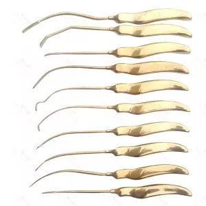 Face Lift Browlift Dissectors & Elevator Set Of 10 Pcs Plastic Surgery Instrument