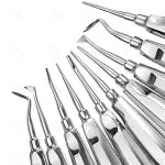 Luxating Apical Dental Surgery Root Extraction Extracting Elevators 20 Pcs Set