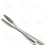 French Pattern Dressing Forceps Serrated Jaws 125mm General Surgery Forceps