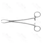 Littlewood Tissue Forceps 2 X 3 Teeth Grasping Slippery Tissues Forceps