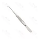 Perry Dissecting Forceps Fine Curved Serrated Jaw Delicate Dressing & Tissue Forceps