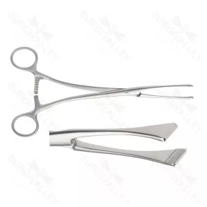 Green Amytage Hemostatic Forceps Straight Grasp Tissues & Removal Forceps