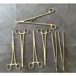 Weck Surgical Instruments Ring Forceps, Tissue Forceps Lot Of 7