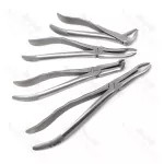 Root Tip Extracting Forceps Set Dental Instruments