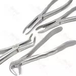 Root Tip Extracting Forceps Set Dental Instruments