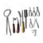 Veterinary Instruments Set Of 10 Stainless Steel